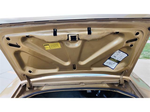 1978 Pontiac Firebird Trans Am (CC-2065839) for sale in Sioux Falls, South Dakota