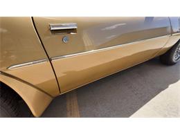 1978 Pontiac Firebird Trans Am (CC-2065839) for sale in Sioux Falls, South Dakota