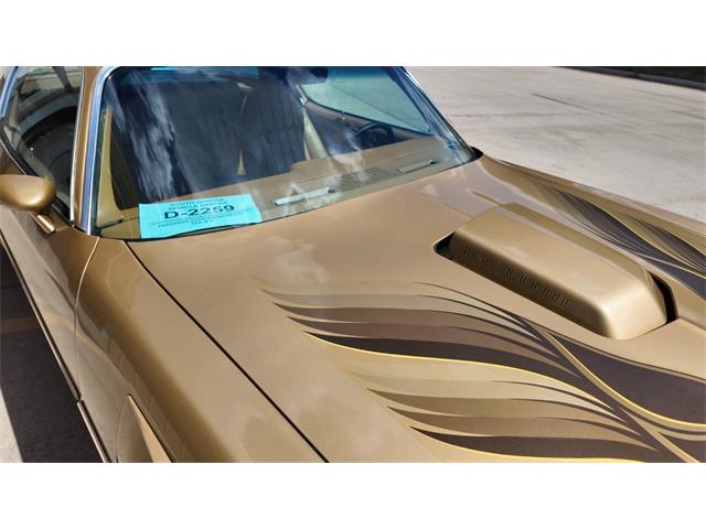 1978 Pontiac Firebird Trans Am (CC-2065839) for sale in Sioux Falls, South Dakota