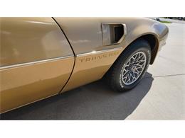 1978 Pontiac Firebird Trans Am (CC-2065839) for sale in Sioux Falls, South Dakota