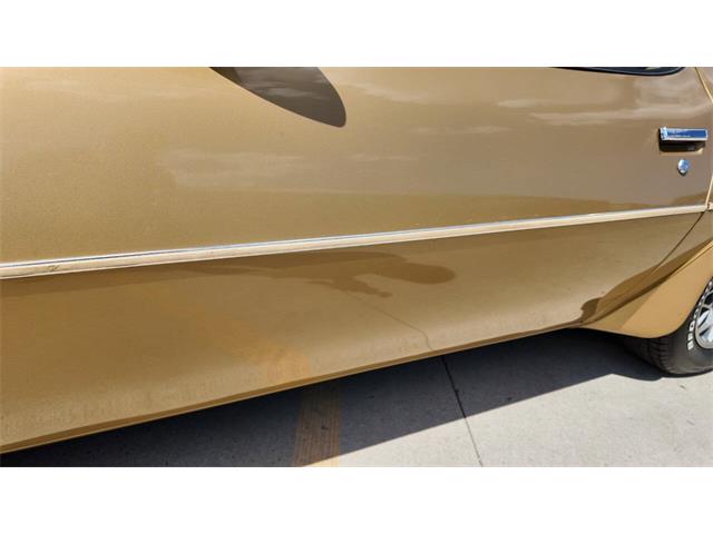 1978 Pontiac Firebird Trans Am (CC-2065839) for sale in Sioux Falls, South Dakota