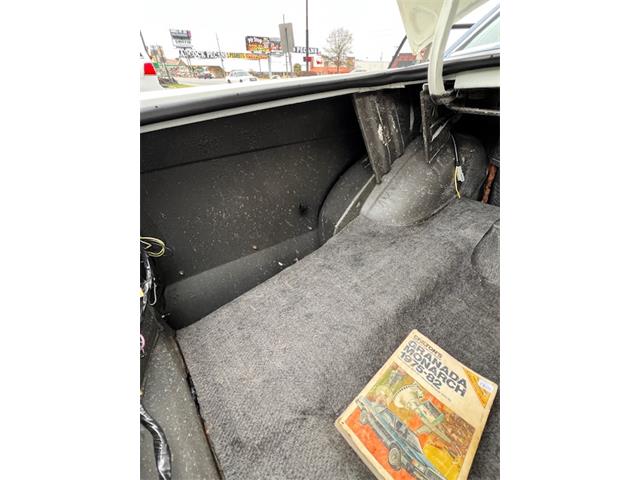 1977 Mercury Monarch (CC-2065886) for sale in Tifton, Georgia