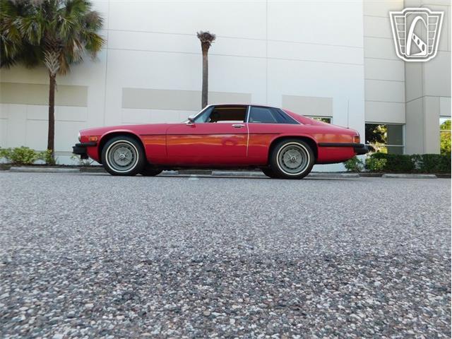 1977 Jaguar XJS (CC-2065937) for sale in Ruskin, Florida