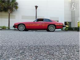 1977 Jaguar XJS (CC-2065937) for sale in Ruskin, Florida