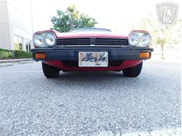 1977 Jaguar XJS (CC-2065937) for sale in Ruskin, Florida