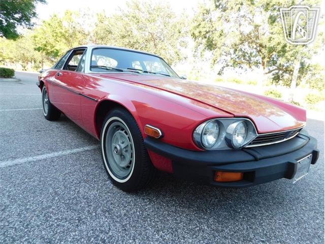 1977 Jaguar XJS (CC-2065937) for sale in Ruskin, Florida