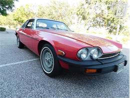 1977 Jaguar XJS (CC-2065937) for sale in Ruskin, Florida
