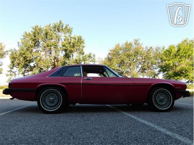 1977 Jaguar XJS (CC-2065937) for sale in Ruskin, Florida
