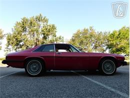 1977 Jaguar XJS (CC-2065937) for sale in Ruskin, Florida