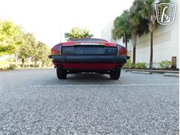 1977 Jaguar XJS (CC-2065937) for sale in Ruskin, Florida