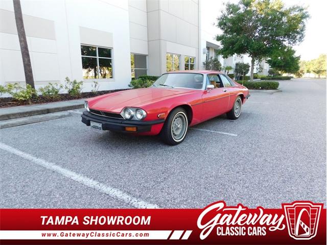 1977 Jaguar XJS (CC-2065937) for sale in Ruskin, Florida
