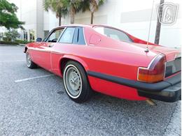 1977 Jaguar XJS (CC-2065937) for sale in Ruskin, Florida