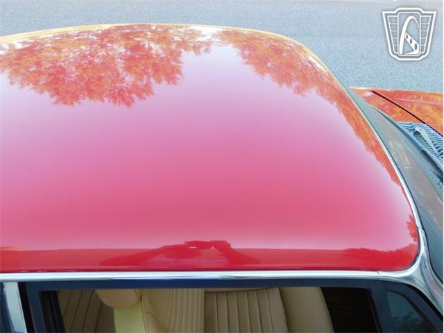 1977 Jaguar XJS (CC-2065937) for sale in Ruskin, Florida