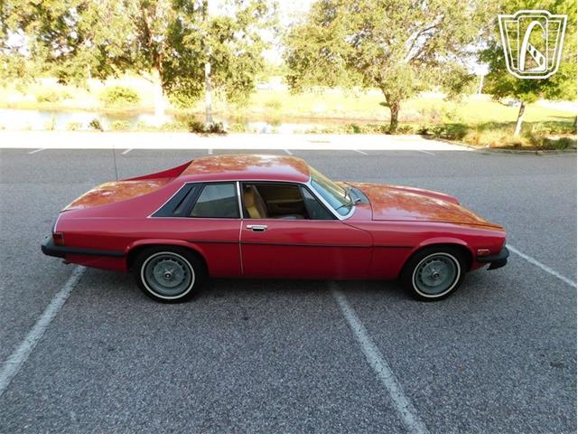 1977 Jaguar XJS (CC-2065937) for sale in Ruskin, Florida