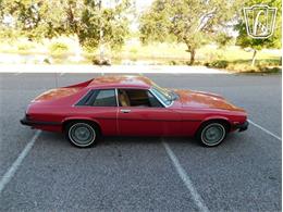 1977 Jaguar XJS (CC-2065937) for sale in Ruskin, Florida
