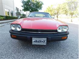 1977 Jaguar XJS (CC-2065937) for sale in Ruskin, Florida