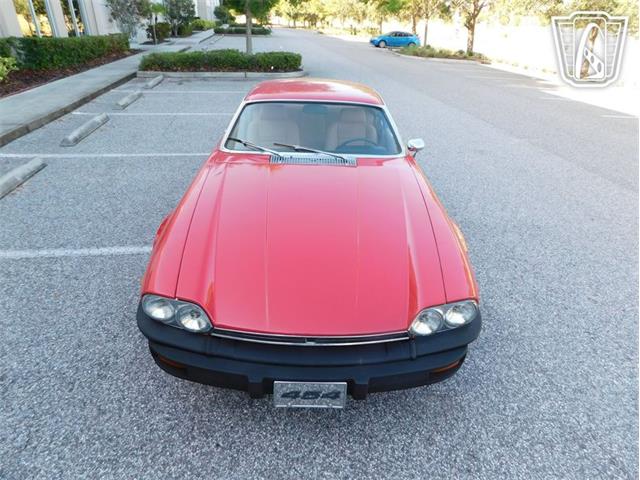 1977 Jaguar XJS (CC-2065937) for sale in Ruskin, Florida