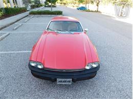 1977 Jaguar XJS (CC-2065937) for sale in Ruskin, Florida