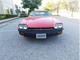 1977 Jaguar XJS (CC-2065937) for sale in Ruskin, Florida