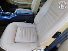 1977 Jaguar XJS (CC-2065937) for sale in Ruskin, Florida