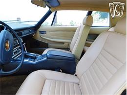 1977 Jaguar XJS (CC-2065937) for sale in Ruskin, Florida