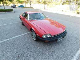 1977 Jaguar XJS (CC-2065937) for sale in Ruskin, Florida
