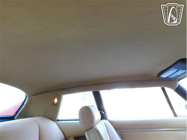 1977 Jaguar XJS (CC-2065937) for sale in Ruskin, Florida