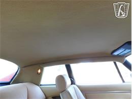 1977 Jaguar XJS (CC-2065937) for sale in Ruskin, Florida