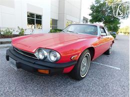1977 Jaguar XJS (CC-2065937) for sale in Ruskin, Florida