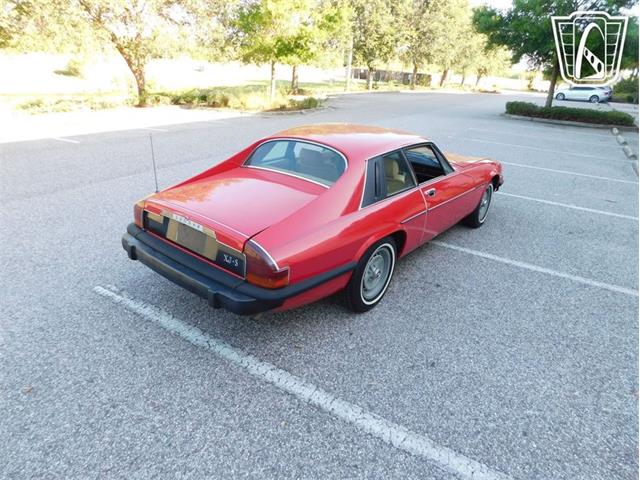 1977 Jaguar XJS (CC-2065937) for sale in Ruskin, Florida