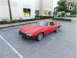 1977 Jaguar XJS (CC-2065937) for sale in Ruskin, Florida