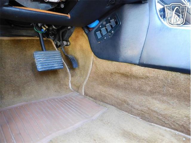 1977 Jaguar XJS (CC-2065937) for sale in Ruskin, Florida