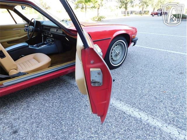 1977 Jaguar XJS (CC-2065937) for sale in Ruskin, Florida