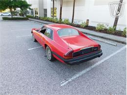 1977 Jaguar XJS (CC-2065937) for sale in Ruskin, Florida
