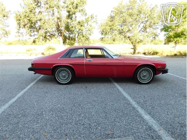 1977 Jaguar XJS (CC-2065937) for sale in Ruskin, Florida