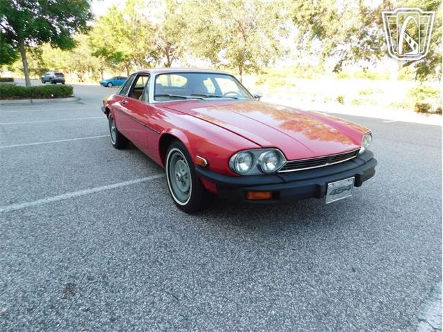 1977 Jaguar XJS (CC-2065937) for sale in Ruskin, Florida
