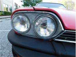 1977 Jaguar XJS (CC-2065937) for sale in Ruskin, Florida