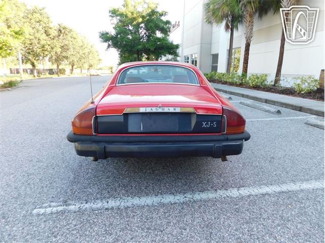 1977 Jaguar XJS (CC-2065937) for sale in Ruskin, Florida