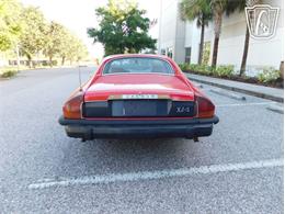 1977 Jaguar XJS (CC-2065937) for sale in Ruskin, Florida