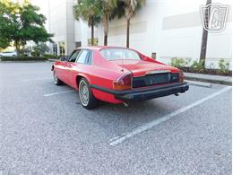 1977 Jaguar XJS (CC-2065937) for sale in Ruskin, Florida