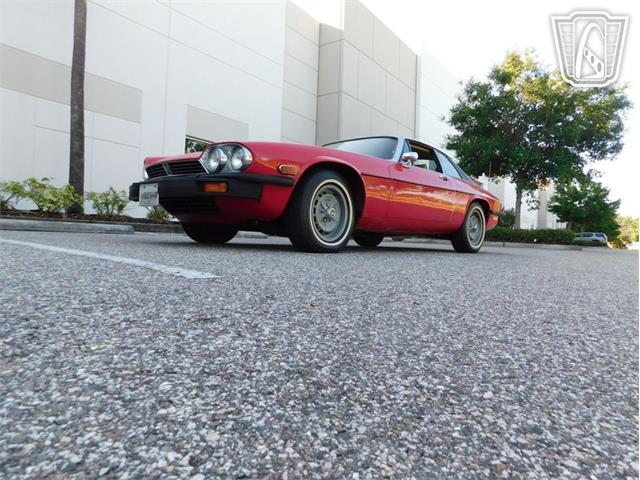 1977 Jaguar XJS (CC-2065937) for sale in Ruskin, Florida