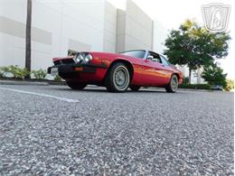 1977 Jaguar XJS (CC-2065937) for sale in Ruskin, Florida