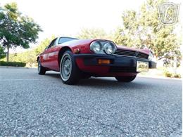 1977 Jaguar XJS (CC-2065937) for sale in Ruskin, Florida