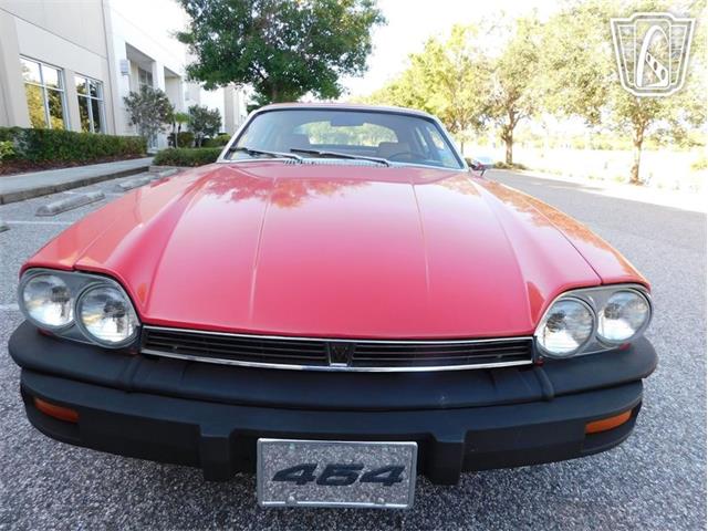1977 Jaguar XJS (CC-2065937) for sale in Ruskin, Florida