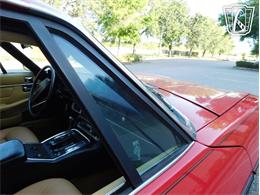 1977 Jaguar XJS (CC-2065937) for sale in Ruskin, Florida