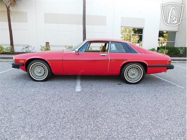 1977 Jaguar XJS (CC-2065937) for sale in Ruskin, Florida