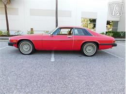 1977 Jaguar XJS (CC-2065937) for sale in Ruskin, Florida