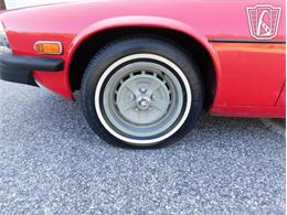 1977 Jaguar XJS (CC-2065937) for sale in Ruskin, Florida