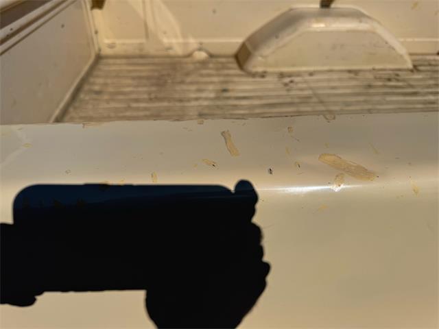 1987 Chevrolet Truck (CC-2065954) for sale in Brookings, South Dakota