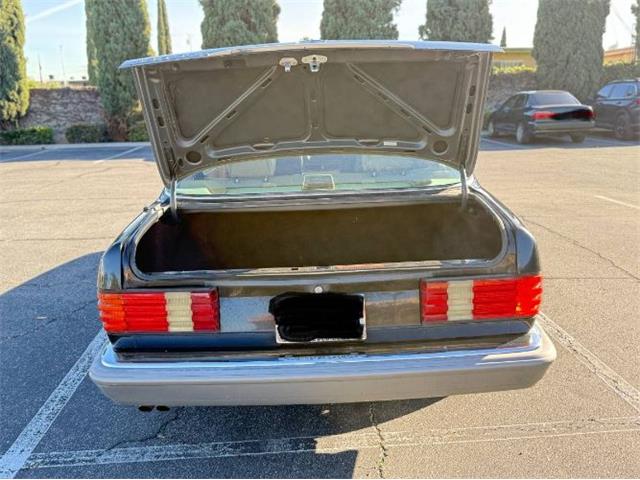 1987 Mercedes-Benz 420SEL (CC-2065964) for sale in Cadillac, Michigan